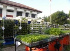 sistem urban farming 3
