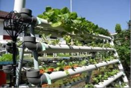 sistem urban farming 4