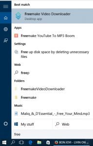 Freemake Video Downloader 4