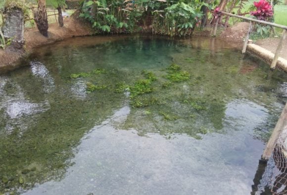 Surga Tersembunyi di Subang Mata Air Cimincul Tempat Wisata Baru yang